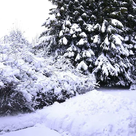 Attractive Apartment Near Ski Area In Winterberg Germany